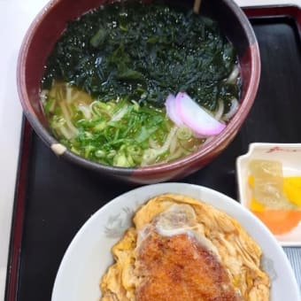 ワカメうどんとミニカツ丼のセット