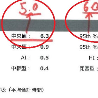 CPAP治療リポートの中身