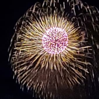 昨日の花火と今日はアップルパイ焼きました☆