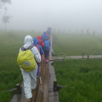 釜無ホテイアツモリソウに救われた　雨中の入笠山ハイキング