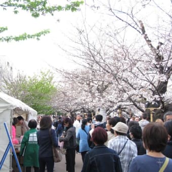 桜巡り帳3頁目：千鳥ヶ淵