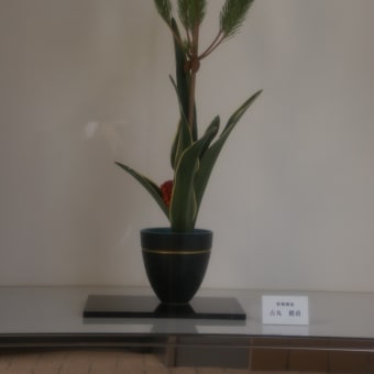 ショウウィンドウ
