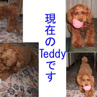過去と現在