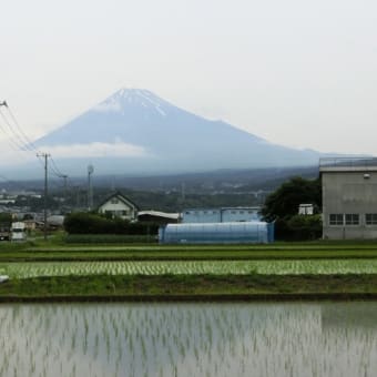 静岡県 in ドクターイエロー　２