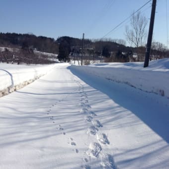 雪シクロクロス_鬼楢ダム