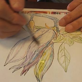 ＊絵手紙教室＊