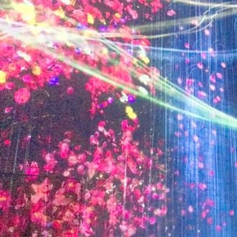 TeamLab〜Part1〜(2019年12月)