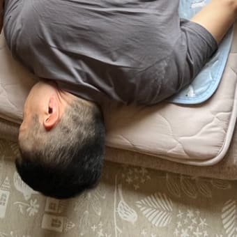 一家揃ってトリミング