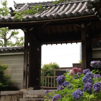 法金剛院 　花の寺