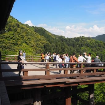 牡丹の寺　長谷寺