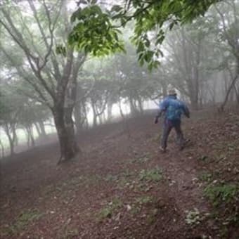 急遽変更！雨の観音峰 ３