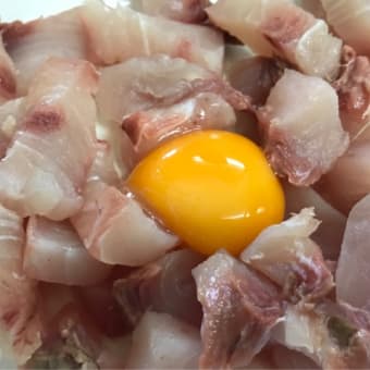 わんごはんのおかげ