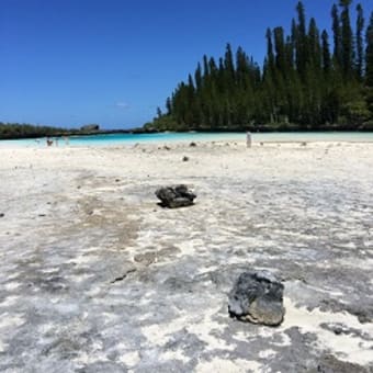 エスティアグループ社員旅行INニューカレドニア