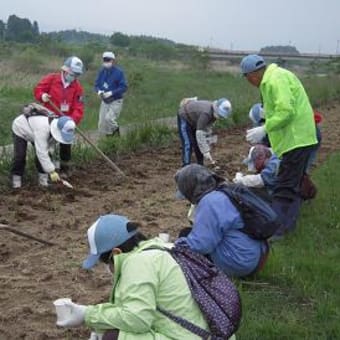 南相馬市ふるさと見聞録　　　　　ひまわりの種は復興への道しるべ