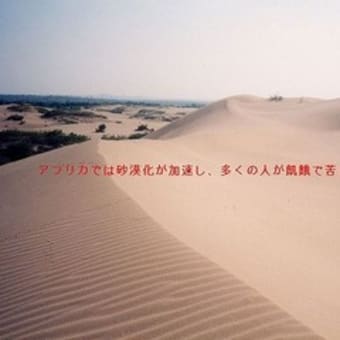 環境問題の裏 その２