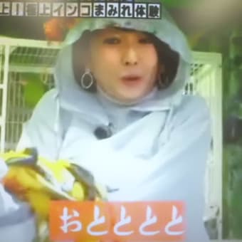 エリちゃんアナは大丈夫かなぁ～