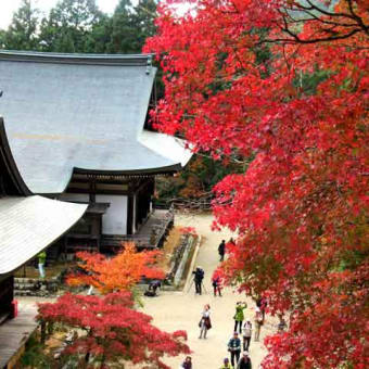 京都　高雄の紅葉　2018