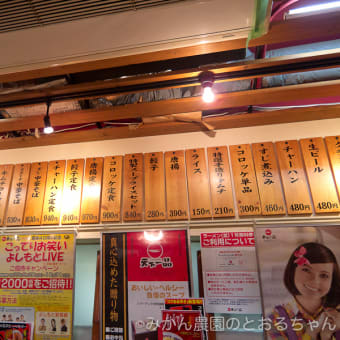 京都府京都市・天下一品 総本店
