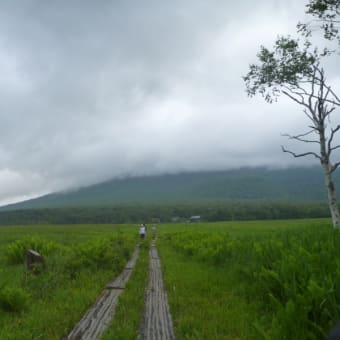 最初の職場のハイキング仲間を誘って尾瀬散策