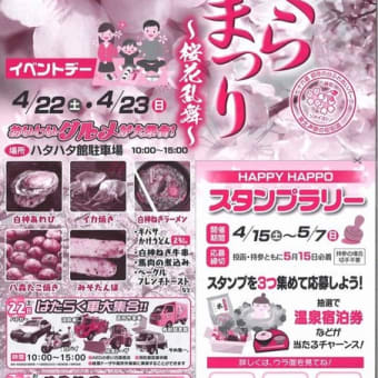   御所の台ふれあいパーク桜開花状況（H29.4.21）