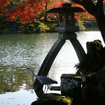 古都金沢・紅葉記