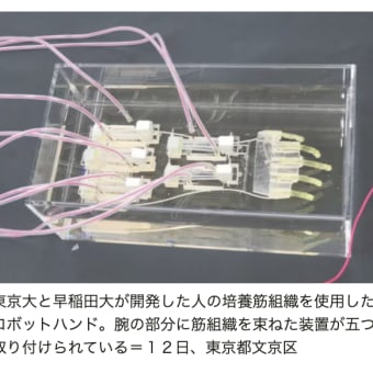 培養技術の進化で筋肉質倍増も可能