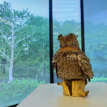 展示会、茨城県植物園展示室