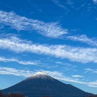 ありがとうございました‼︎