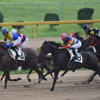 佐賀～長崎をウロウロドライブ！（１日目、佐賀編）