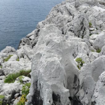 白い岬