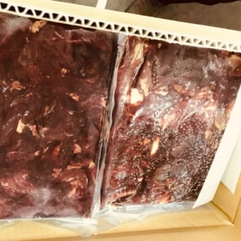 わんごはんのおかげ