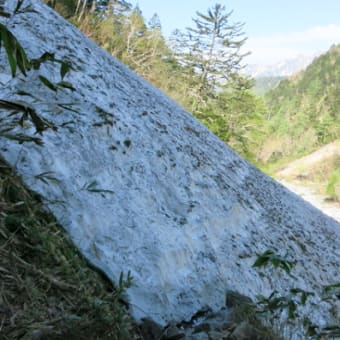 新穂高～槍平　登山道情報（5/31）