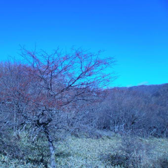 鍋割山、荒山登山