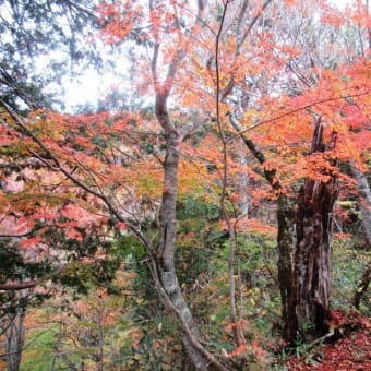 上信越山旅　2018秋　　　3.高妻山　　その1