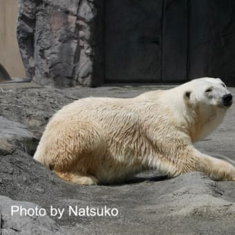 サツキさんの想い出