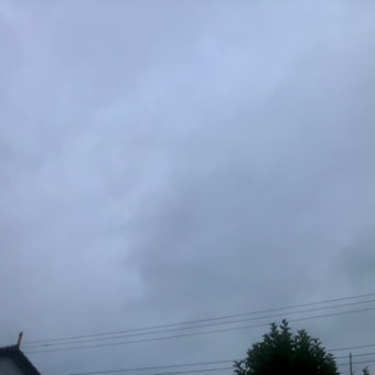 ニュースと天気予報7/12 災害ガラパゴス⁉️💦