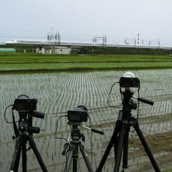 静岡県 in ドクターイエロー　２