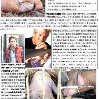 今日伊藤ハム豚虐待のチラシ印刷でヒロインに会った。