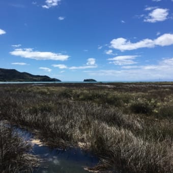NZ日記 1/12-17、Abel Tasman National Park 5days Tramping