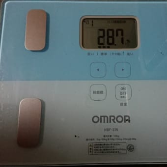 ダイエット349日目