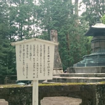 日光の思い出(ほぼ写真のみ)