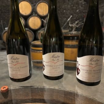 フランスのワイン産地を巡る旅