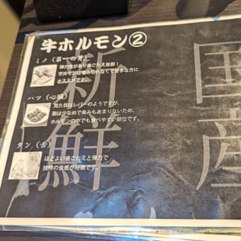 ホルモン酒場一献＠西千葉　美味しいホルモン＆焼肉が食べられて、韓国風まぜそば「ビビン麺」も楽しめます！