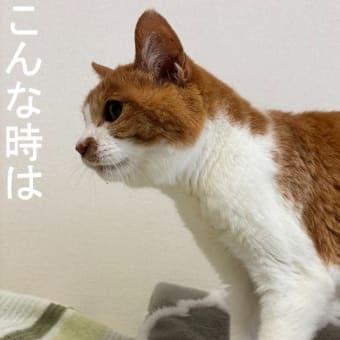 今日の水滴