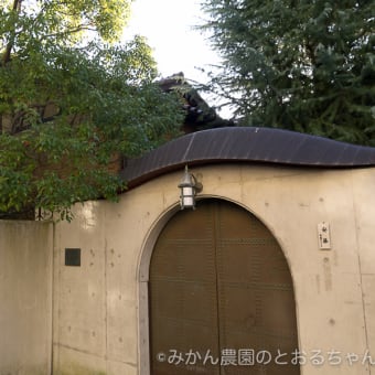 京都府京都市・安藤家住宅（旧藤井繁次郎邸）