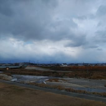 やっと回復