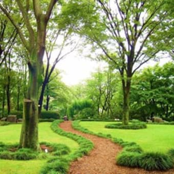 「板橋区立赤塚植物園」植物園と温室とテーマ園は花の宝庫！