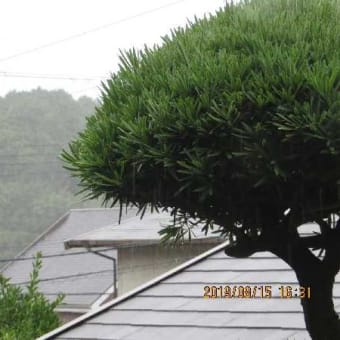 台風10号、西日本をを横断