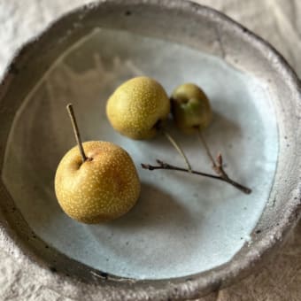 家の梨を収穫してみました