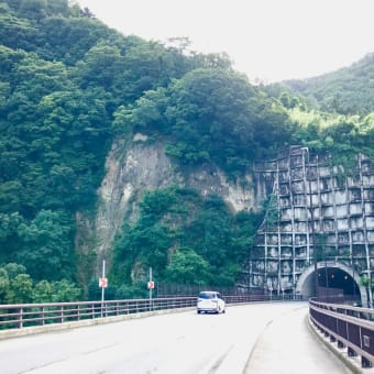 裾花凝灰岩層？〜2019.7.2８ 長野県長野市小鍋〜